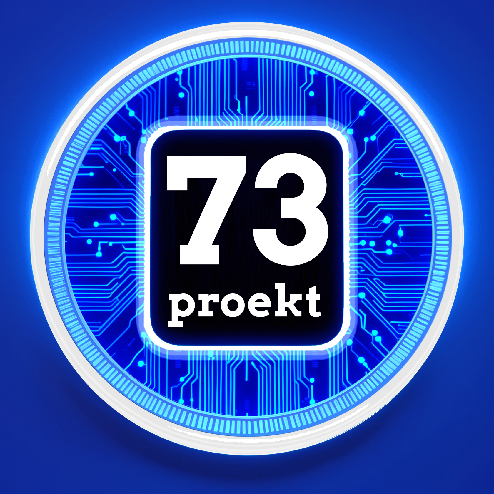 Proekt_73
